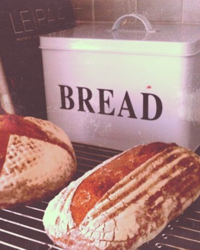 Bread